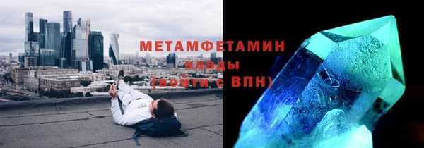 прущие грибы Нефтекумск