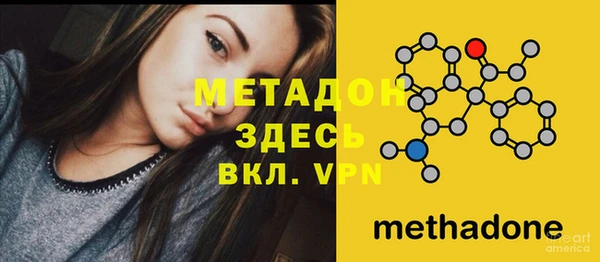 прущие грибы Нефтекумск