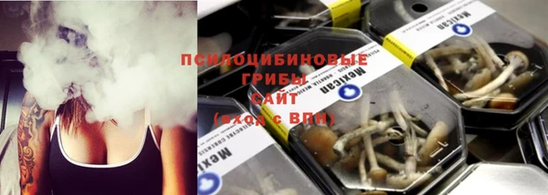соль ск Новозыбков