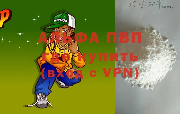 прущие грибы Нефтекумск