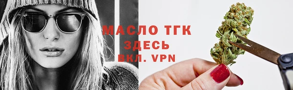 соль ск Новозыбков