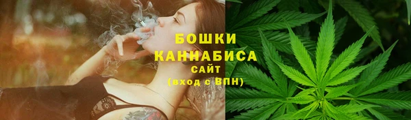 спиды Новодвинск