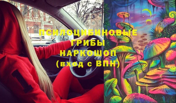 прущие грибы Нефтекумск