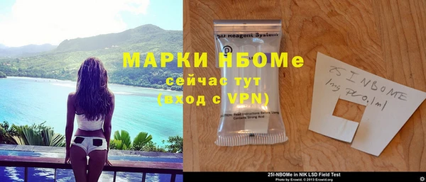 прущие грибы Нефтекумск