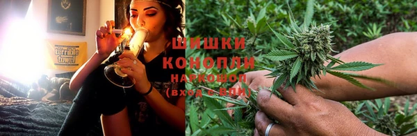 спиды Новодвинск
