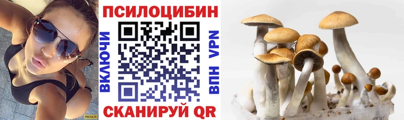 Псилоцибиновые грибы мицелий Окуловка